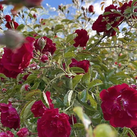 Dom wakacyjny Au 3 La Cour A Tot Regnéville-sur-Mer
