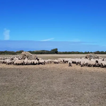 Dom wakacyjny Au 3 La Cour A Tot Regnéville-sur-Mer