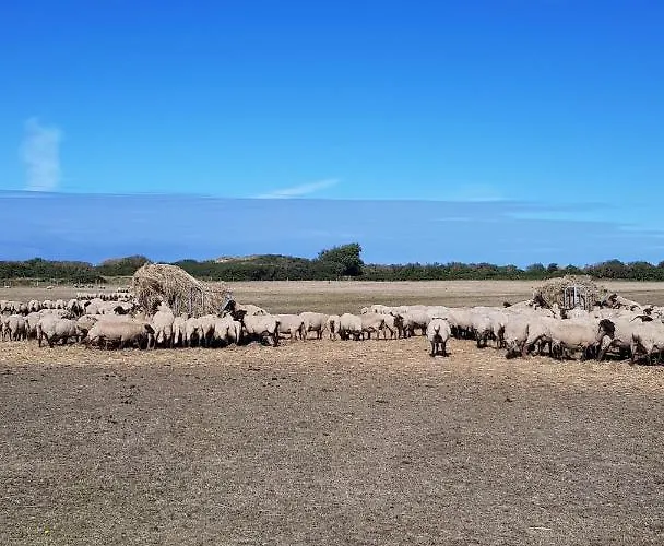 Prázdninový dům Au 3 La Cour A Tot Regnéville-sur-Mer
